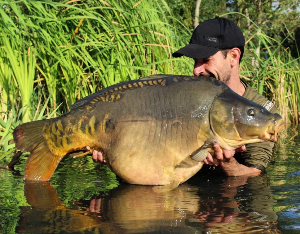 Hot Fish - A Proven European 'Big Fish' Catcher - Dynamite Baits Spain