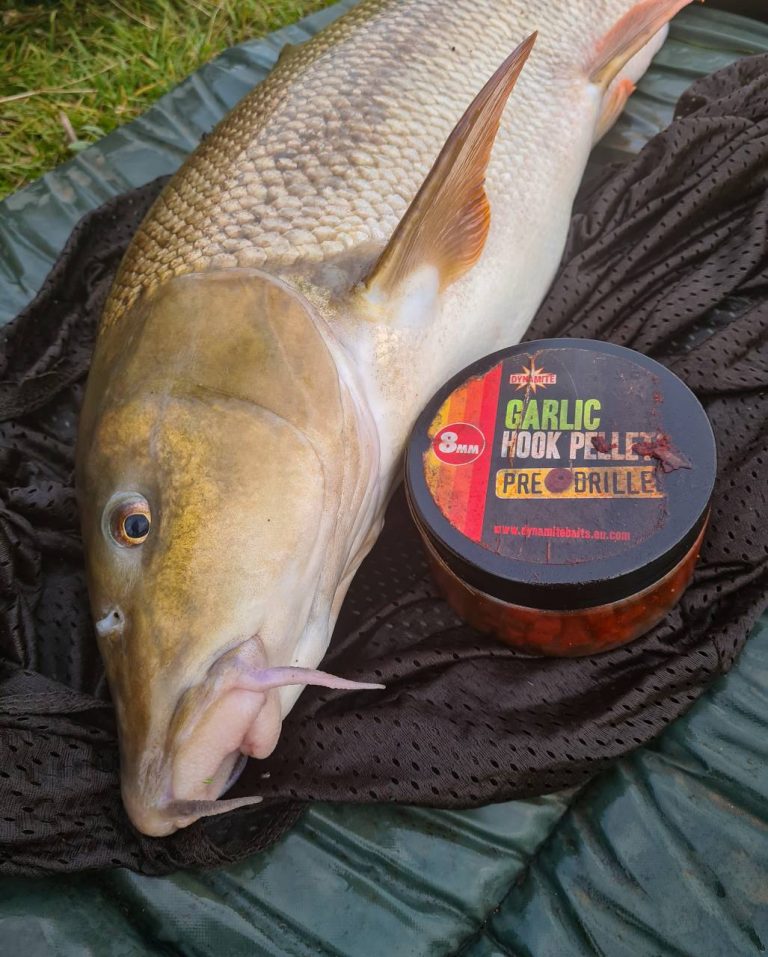 Jamie Cartwright’s Top Bait Tips for Barbel Dynamite Baits