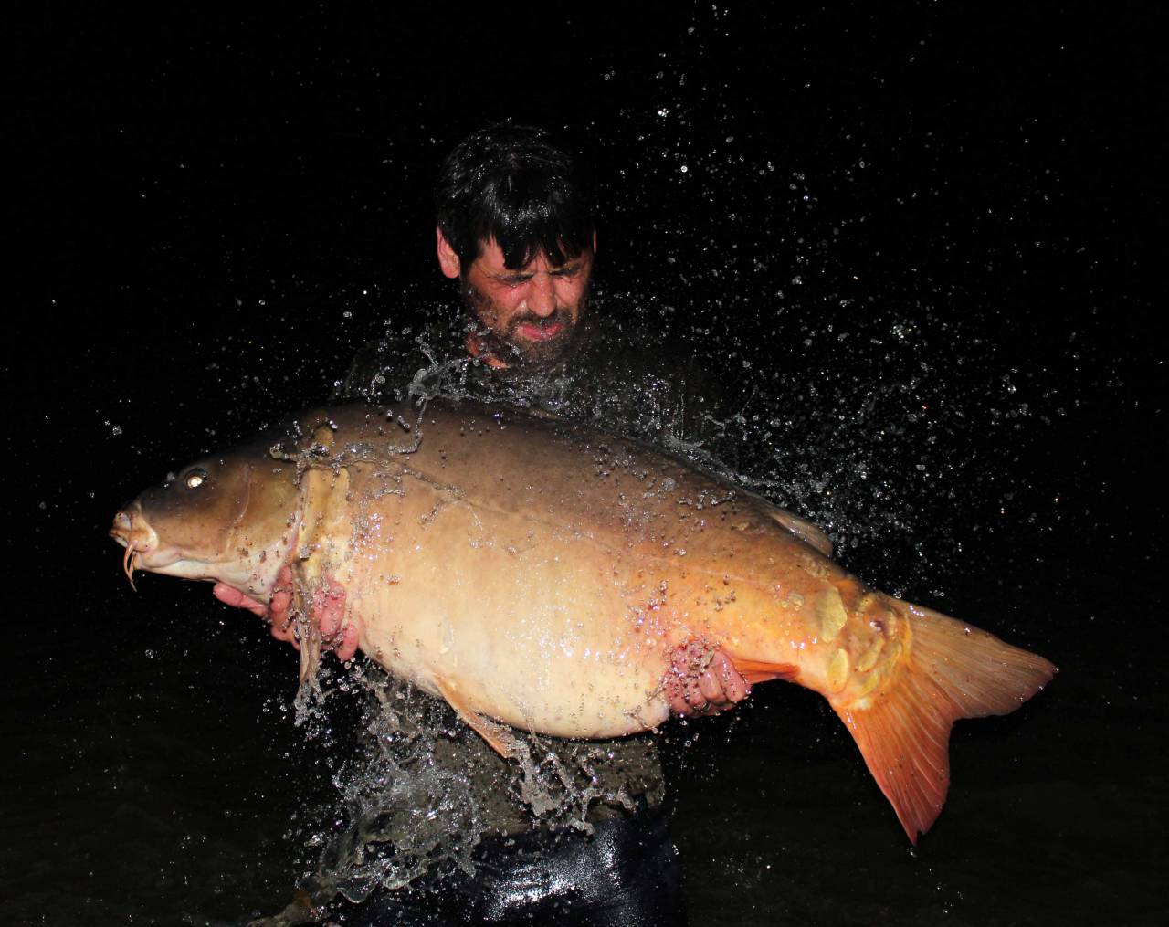 My first carp, on BFS, Another Spin on Glass