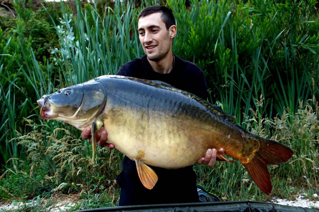 Mulberry Carp Bites - Magic Bait