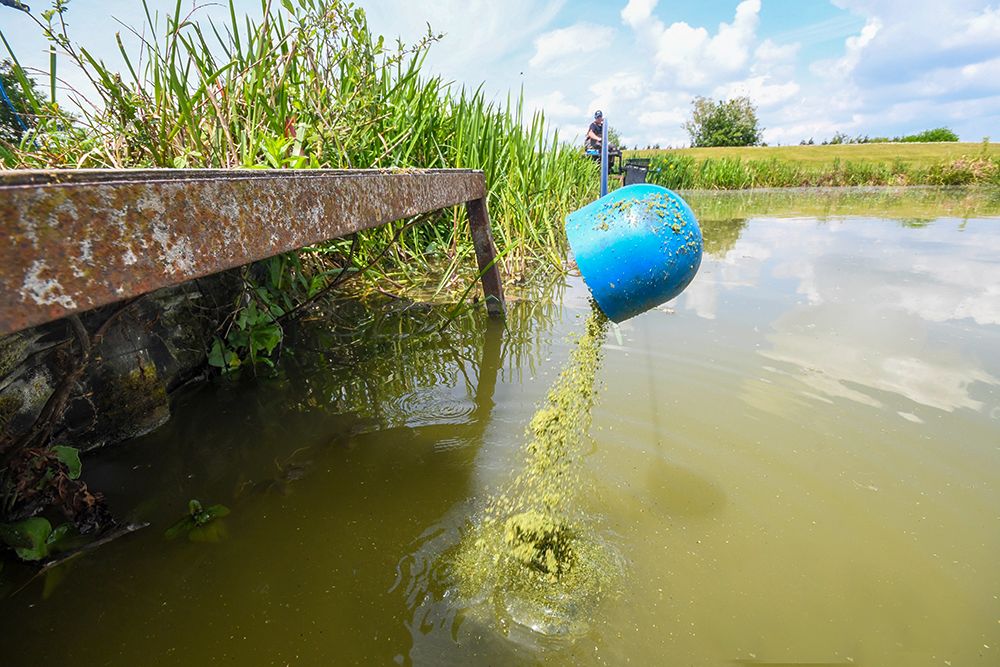 How to Catch Bream From Silty Lakes, by Tony Curd - Dynamite Baits