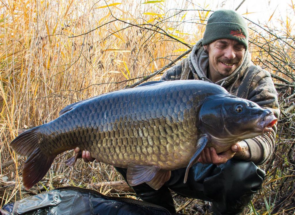 Using Pop-Up TIGER NUTS to Catch Carp (Incredible!) 