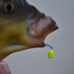 Mini Hookbaits