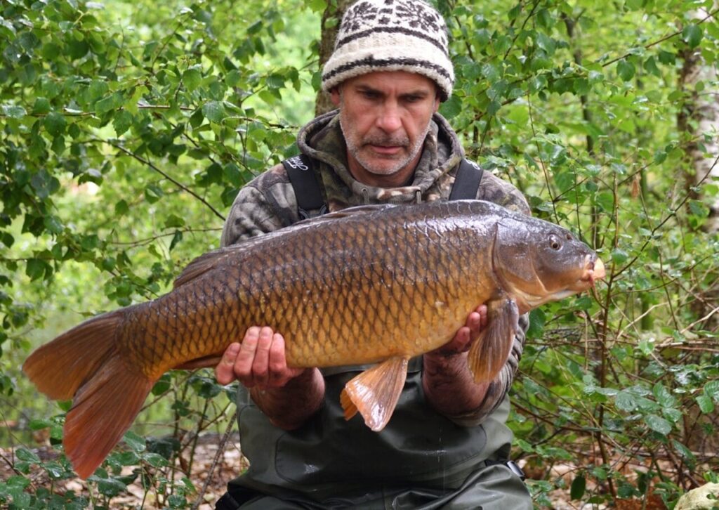 20lb 4oz male common