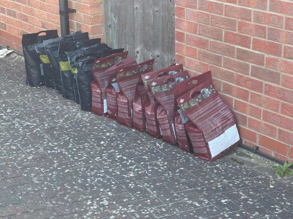 Monster Tiger Nut Delivery