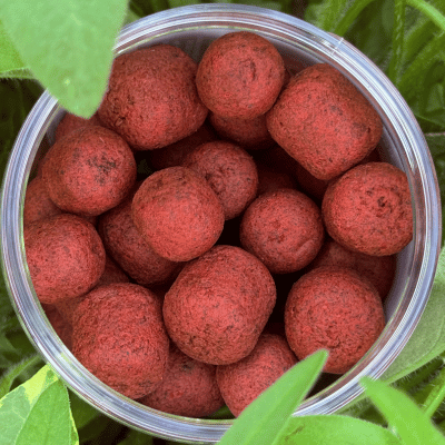 Robin red washed out hookbaits